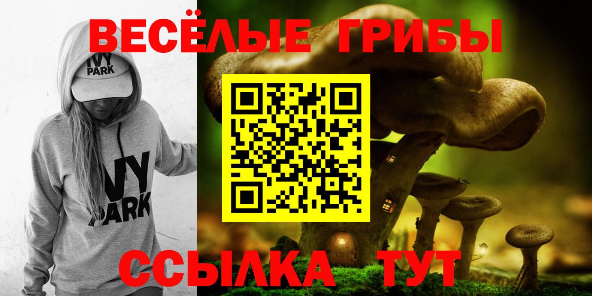 Галлюциногенные грибы Cubensis Гусь-Хрустальный