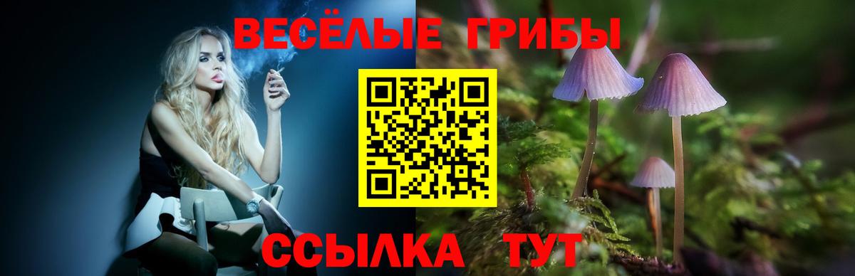 Галлюциногенные грибы ЛСД  Вход с VPN  где можно купить наркотик  Гусь-Хрустальный 